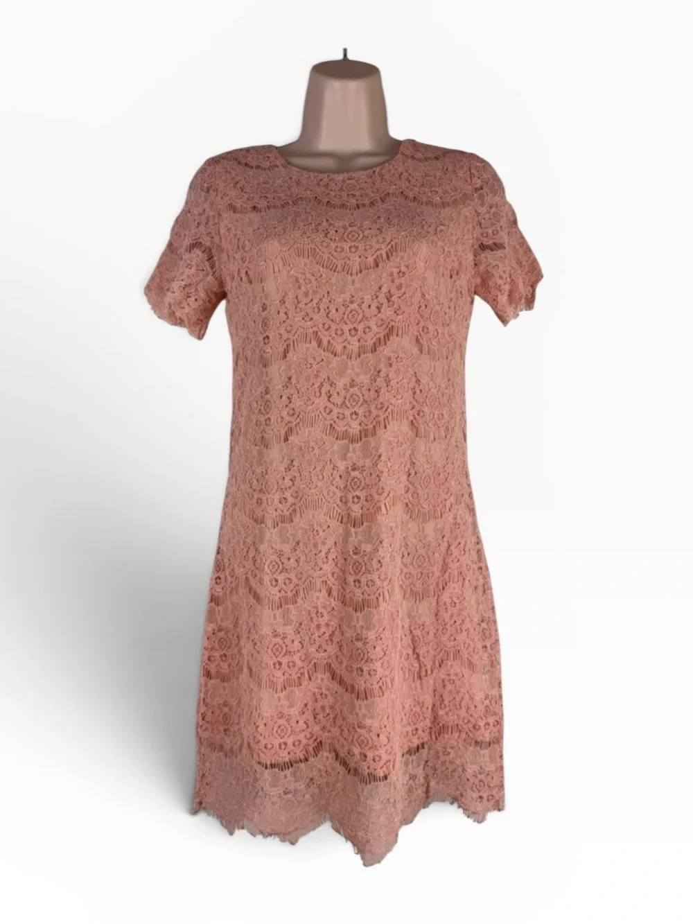 NWT Pink Lily Peach Lace Cocktail Dress Scalloped Hem Wedding Guest S